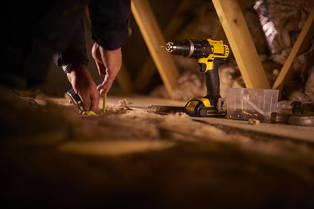 Best Insulation Removal  in White Sands, NM