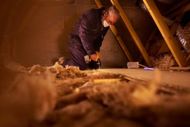 Best Insulation Contractors for Homes  in White Sands, NM